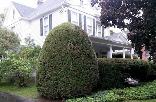 Park House Bed & Breakfast Johnson City Exterior foto